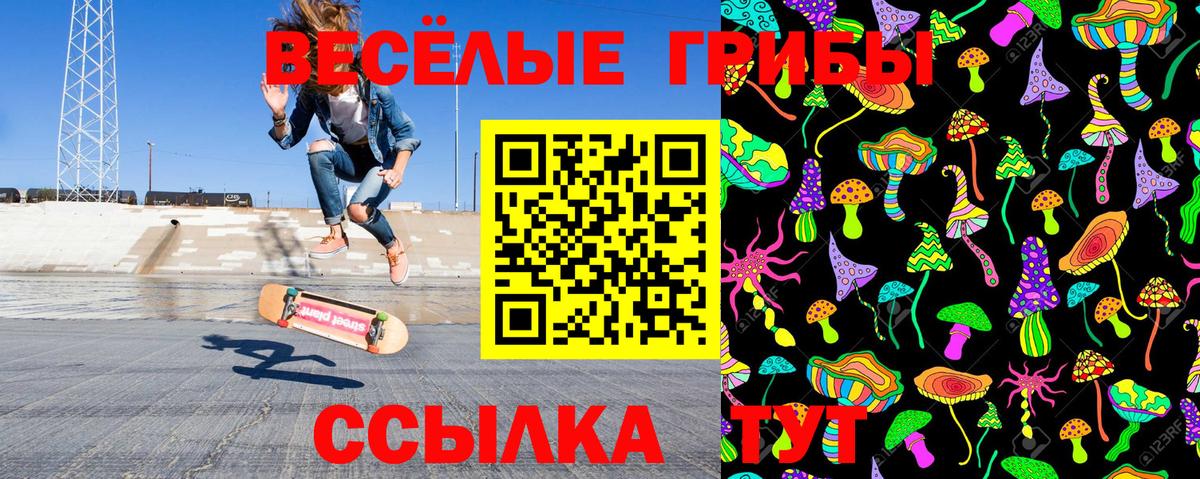 Псилоцибиновые грибы Cubensis Армавир